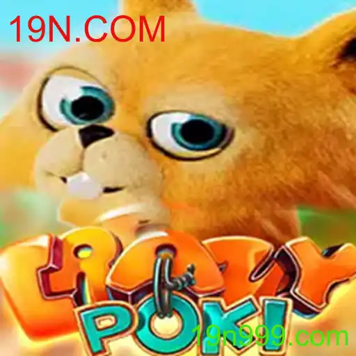Tudo Sobre CrazyPoki e as Regras do Jogo em 19N.COM